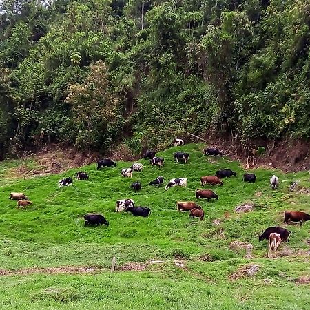 La Lucia Villa Manizales Kültér fotó