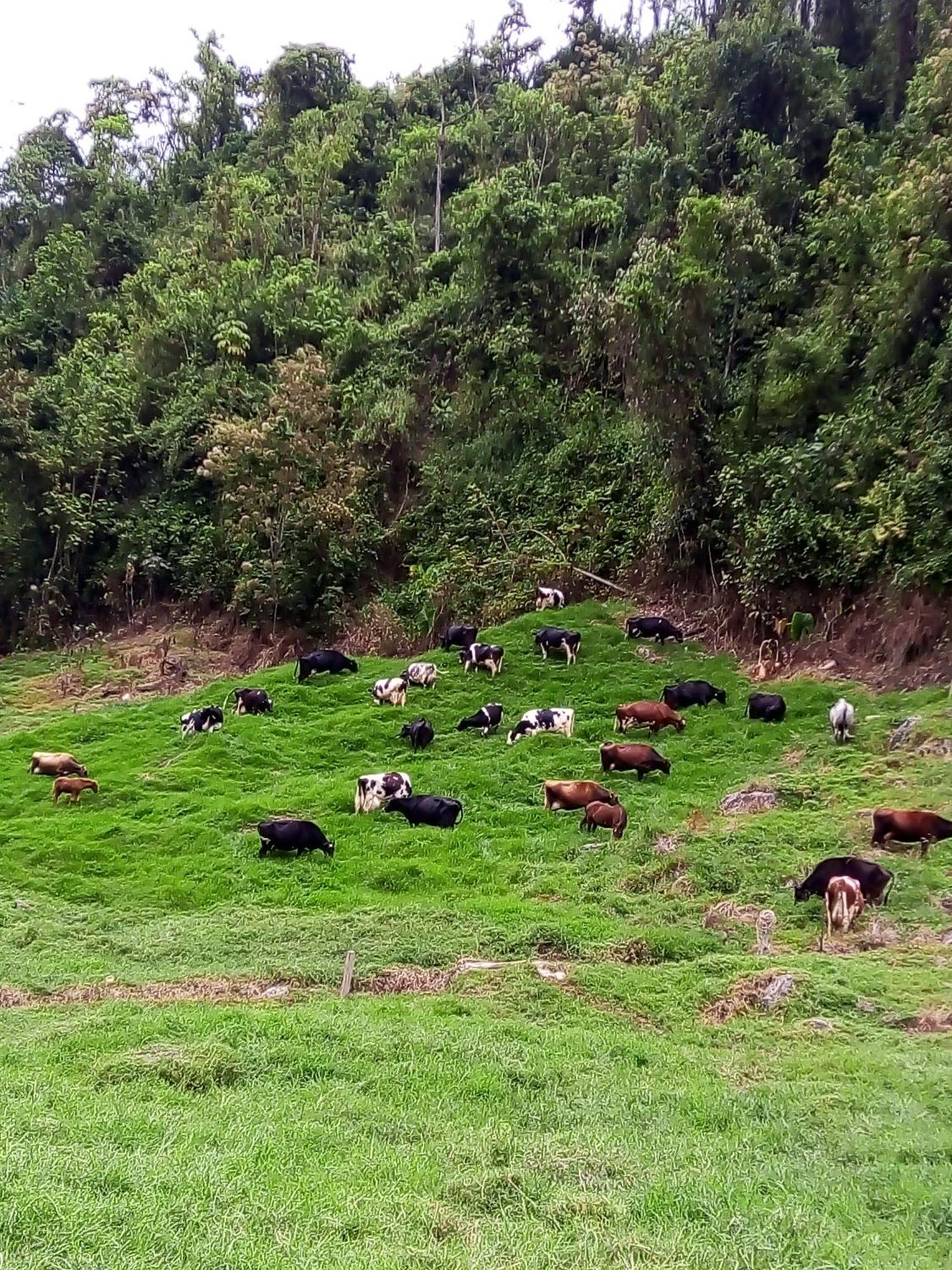 La Lucia Villa Manizales Kültér fotó